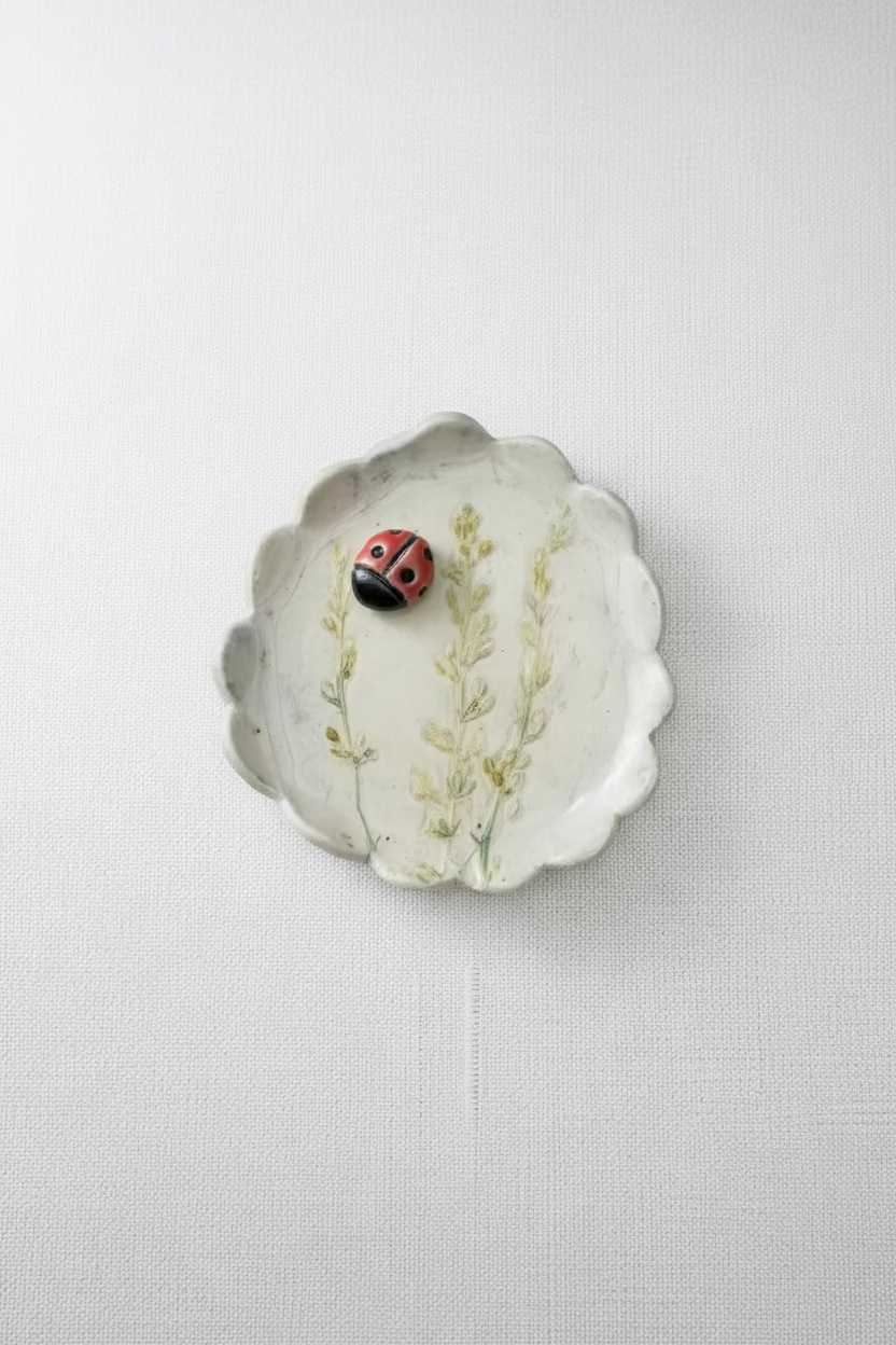 Carolina Benoit lady bug tray 1