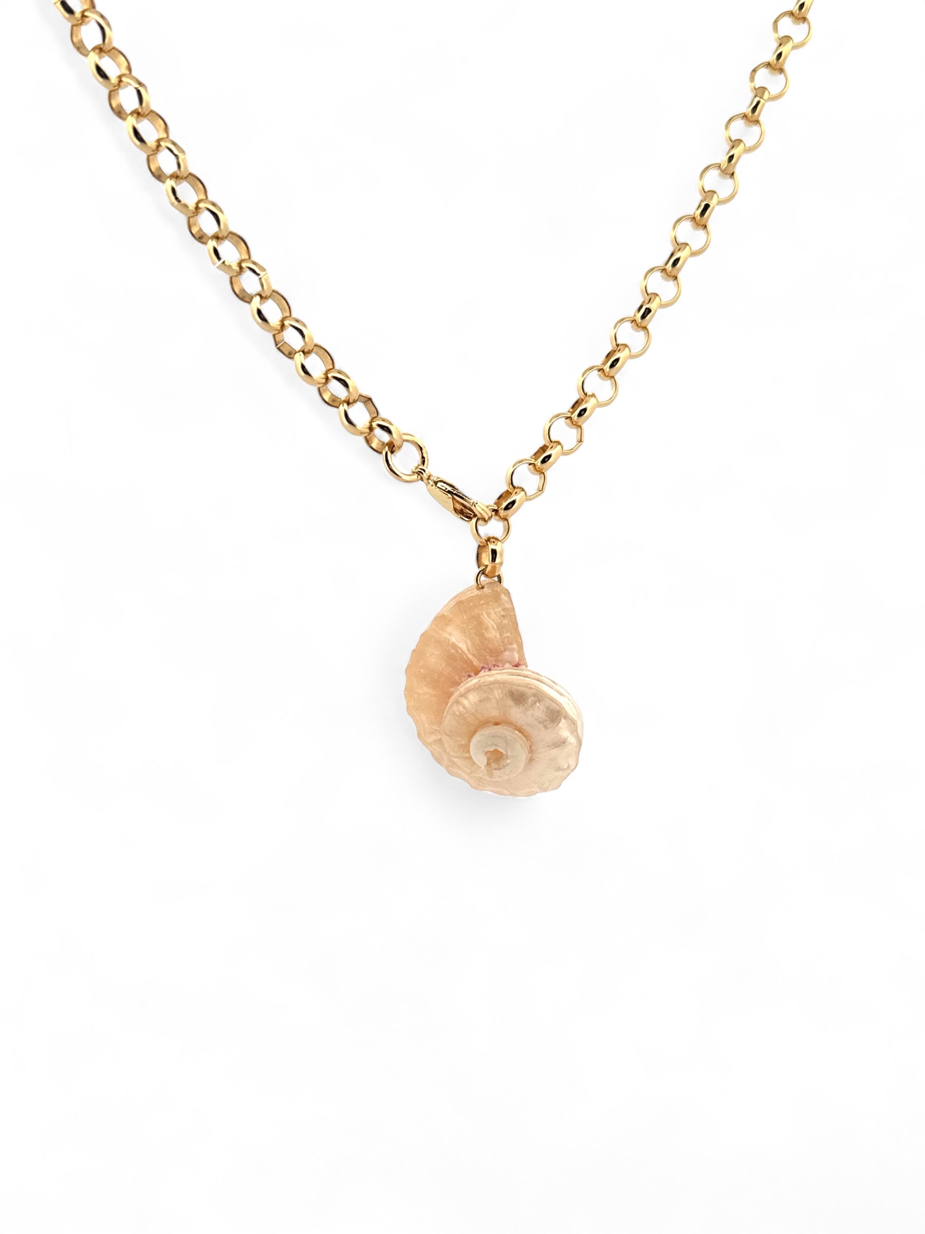 Chunky Chain & Shells Necklace | Carolina Benoit
