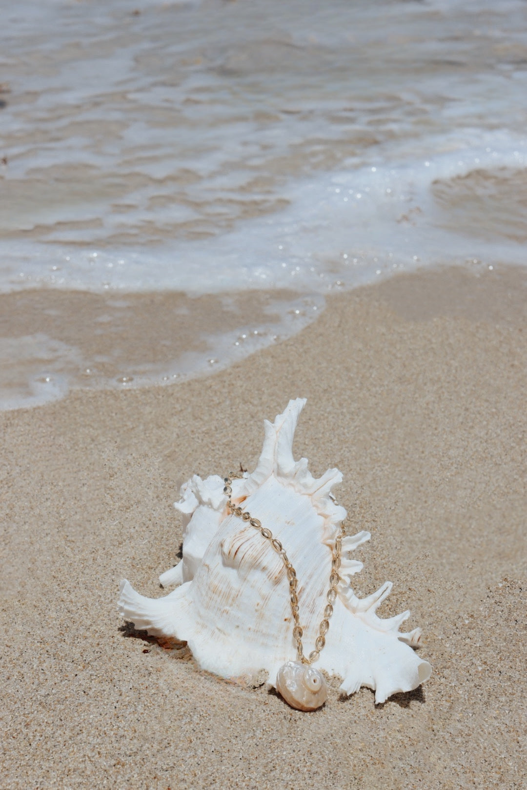 shell necklace over seawater shell Miami Beach Carolina Benoit fashion jewelry for Mother's Day gifts
