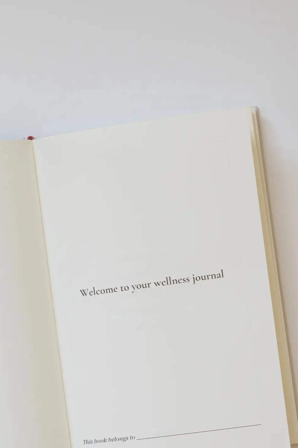 Cool Girls Have Wellness Journals