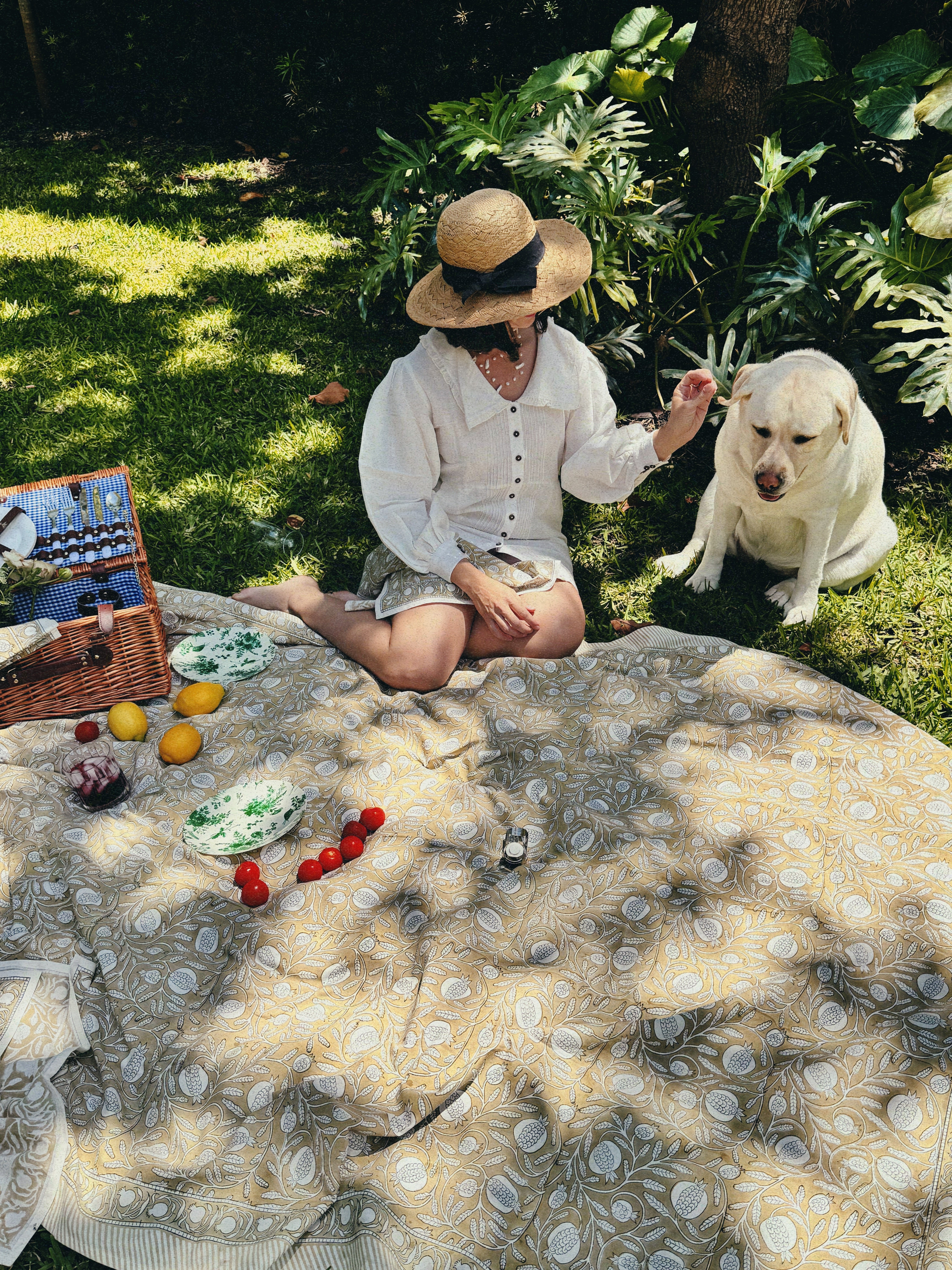 Handblock Printed Pomegranate Picnic Blanket – Carolina Benoit