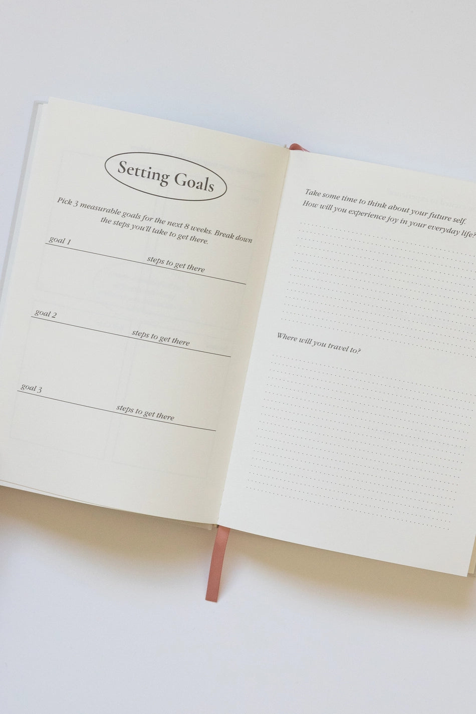 Cool Girls Have Wellness Journals