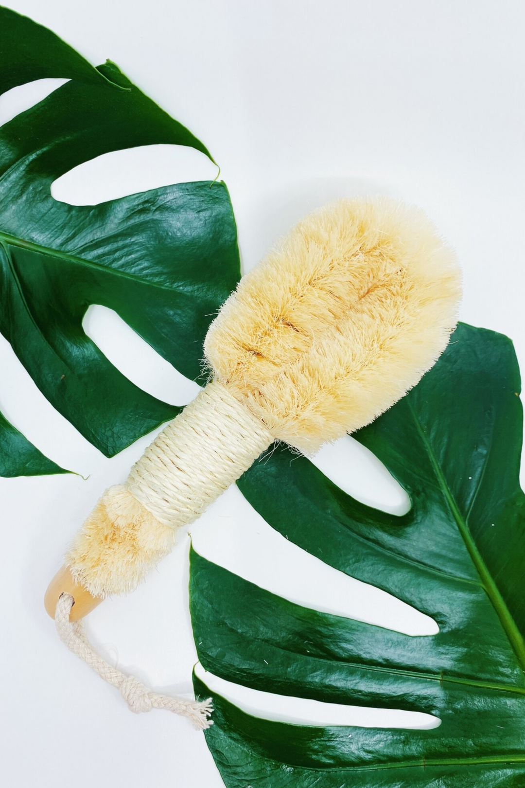 Ayurvedic Dry Brush